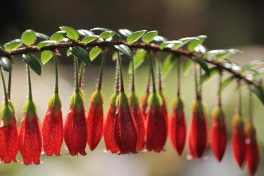 惠州惠阳区2私人快速借钱网，轻松解决资金难题