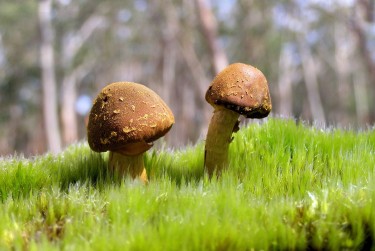 惠州惠阳区2私人老板放款：轻松融资的秘密通道